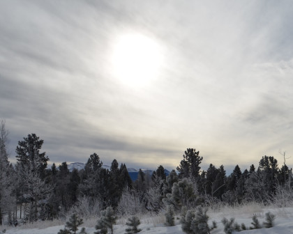 Snowy day in Divide Colorado